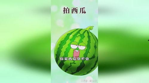 市职吃瓜