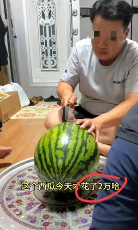 直播吃的瓜是什么瓜