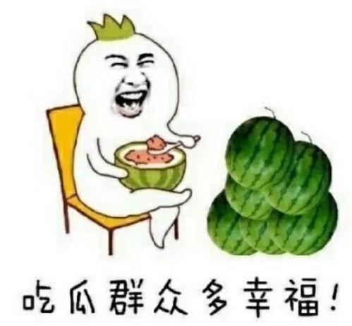 快乐吃瓜中