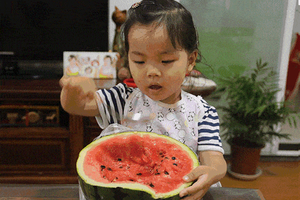 全国最佳吃瓜群众